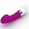Gigi Vibrator Paars